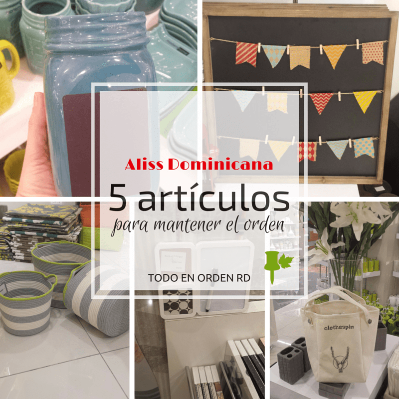 5 artículos para mantener el orden aliss dominicana
